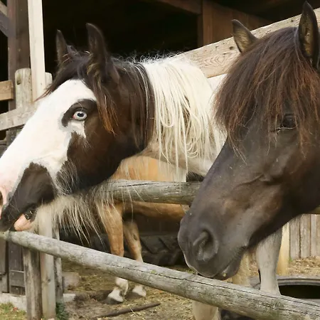 Waldhotel Baechlein 3* Mitwitz