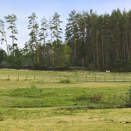 Waldhotel Baechlein Hotel
