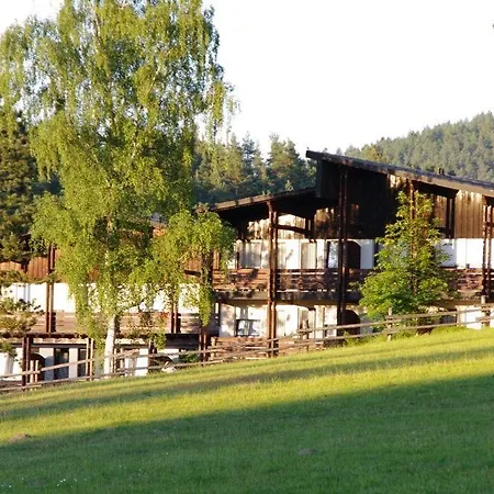 Waldhotel Bächlein Hotel