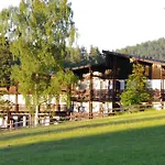 Waldhotel Baechlein Hotel