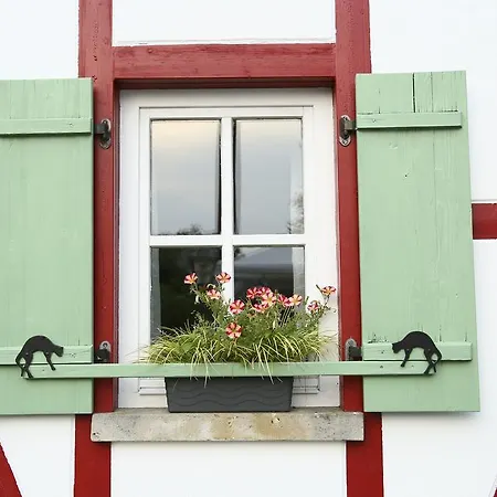 Отель Waldhotel Baechlein