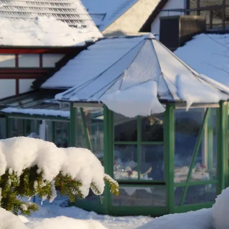 Hotel Waldhotel Baechlein