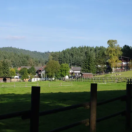 Hotel Waldhotel Baechlein