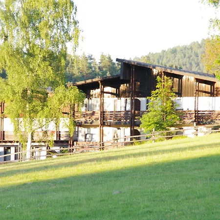 Waldhotel Baechlein Отель