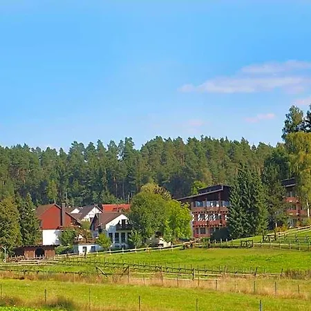 Waldhotel Baechlein Отель 3*