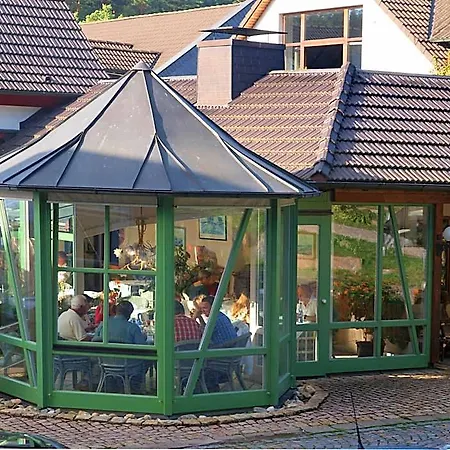 Отель Waldhotel Baechlein 3*