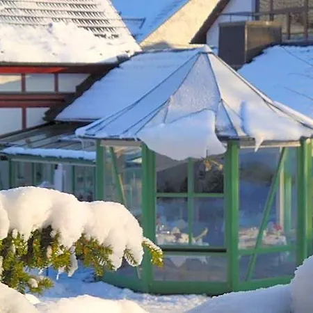 Waldhotel Baechlein 3*