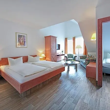 Отель Waldhotel Baechlein 3*