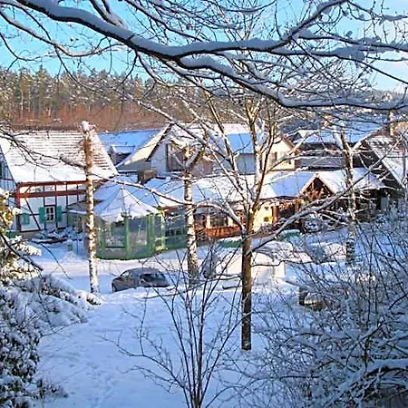 Waldhotel Baechlein Отель 3*