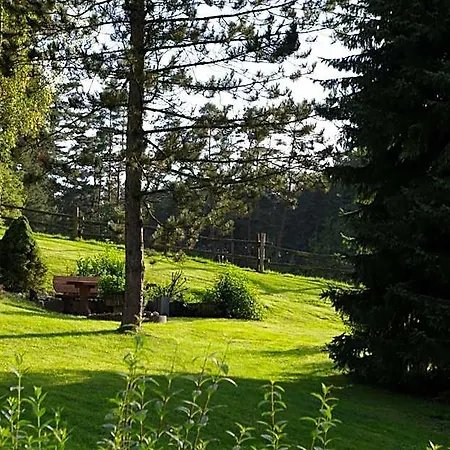 Отель Waldhotel Baechlein 3*