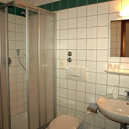 Отель Waldhotel Baechlein 3*