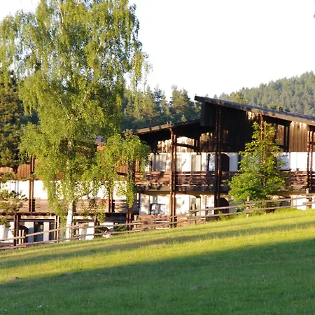 Waldhotel Bächlein Hotel