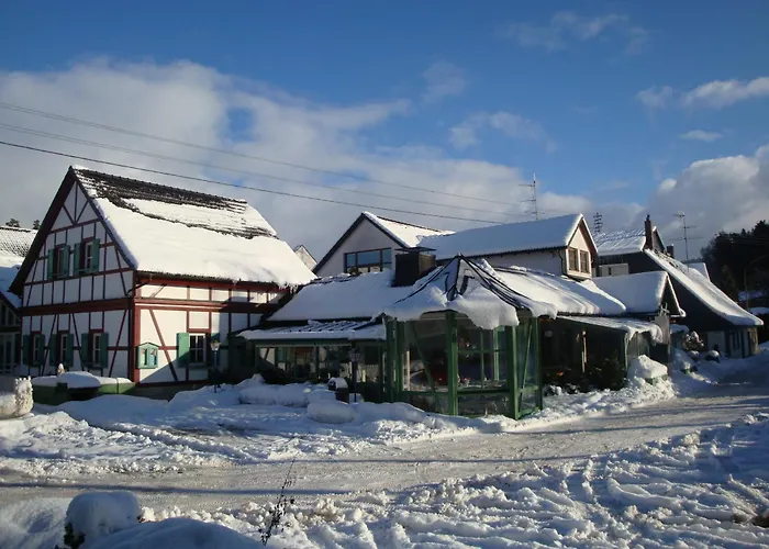 Hotel Waldhotel Baechlein 3*