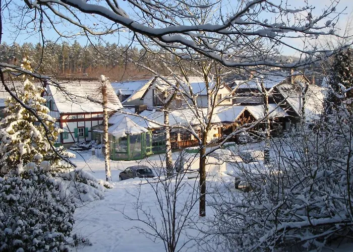 Hotel Waldhotel Baechlein