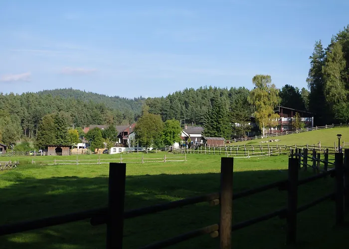 Hotel Waldhotel Baechlein