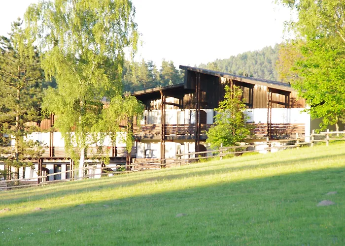 Waldhotel Baechlein Hotel