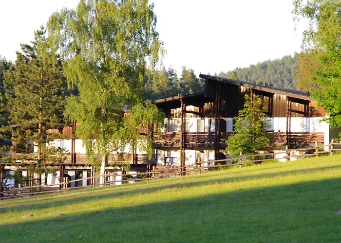 Waldhotel Baechlein Hotel